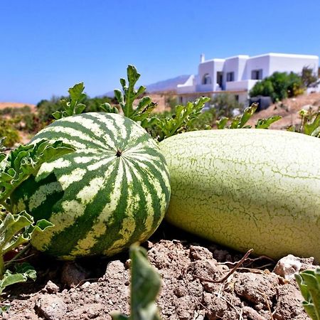 Апартаменты Relaxia Estate Naxos Галини Экстерьер фото